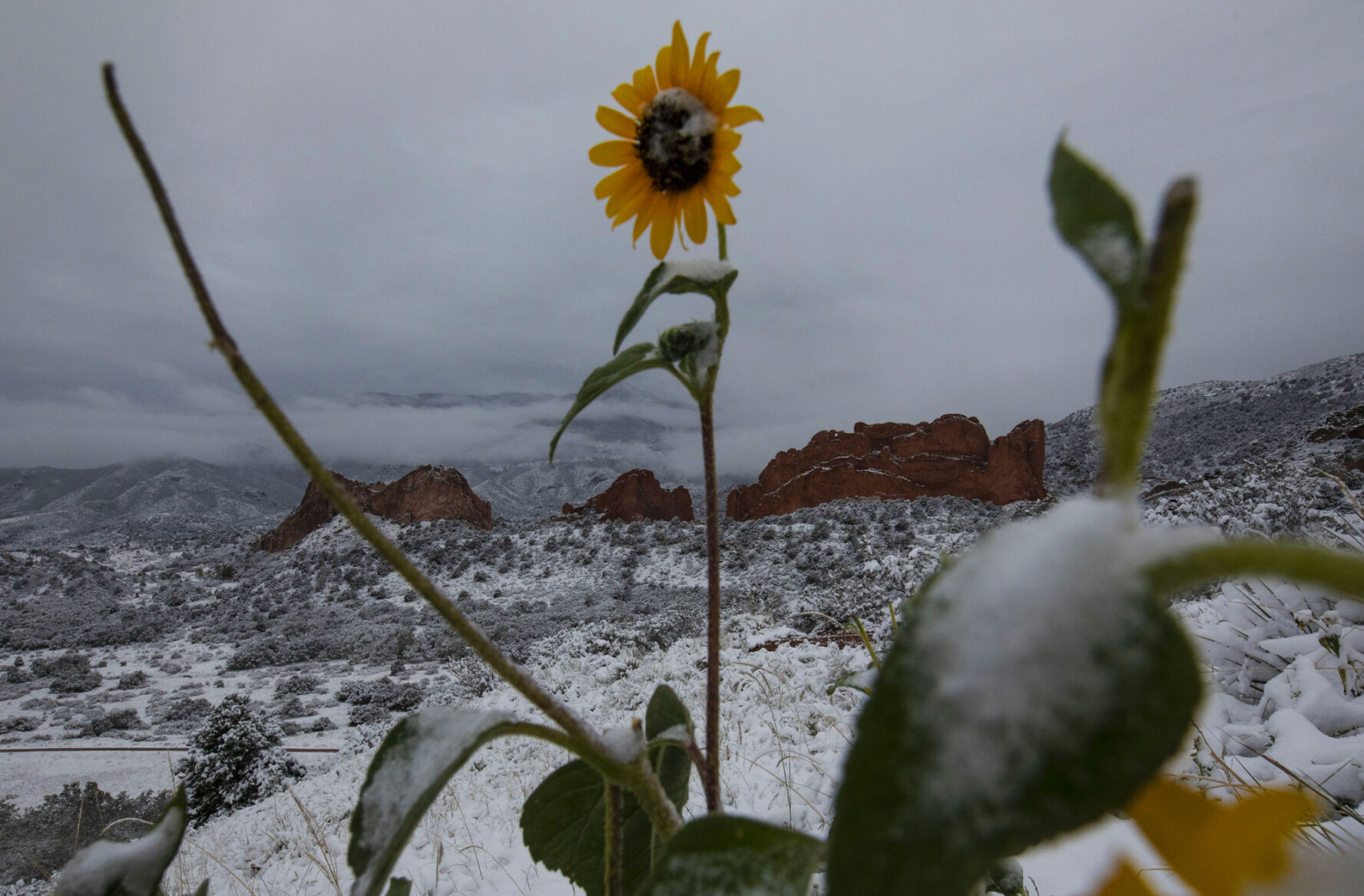 090920-news-earlysnow 15.jpg